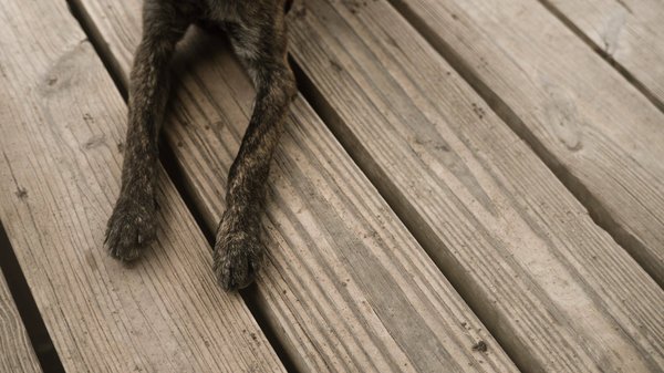 Quelles sont les techniques pour installer un plancher chauffant dans une salle de bain carrelée ?
