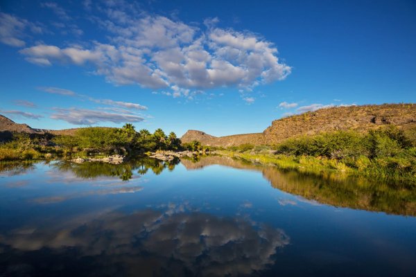 Comment créer une oasis de biodiversité avec un étang de jardin naturel ?